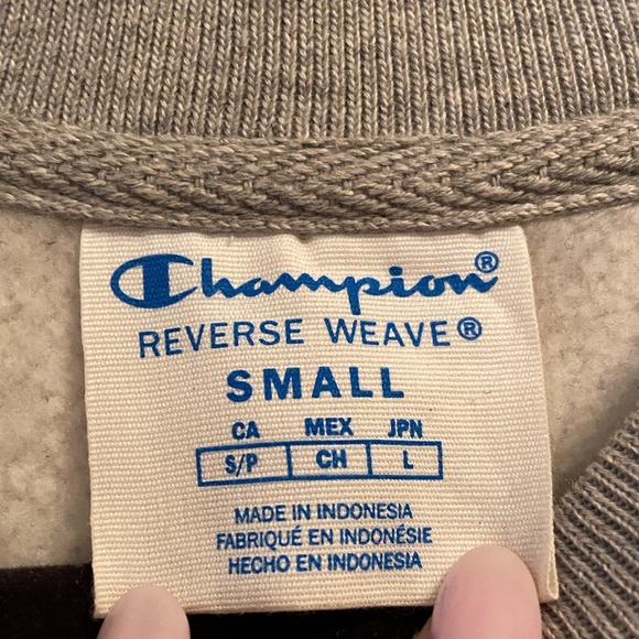 Champion Reverse Weave Gray and Green Striped Sweatshirt, Size Small - Picture 12 of 12